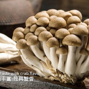 Brawn Shimej Mushroom