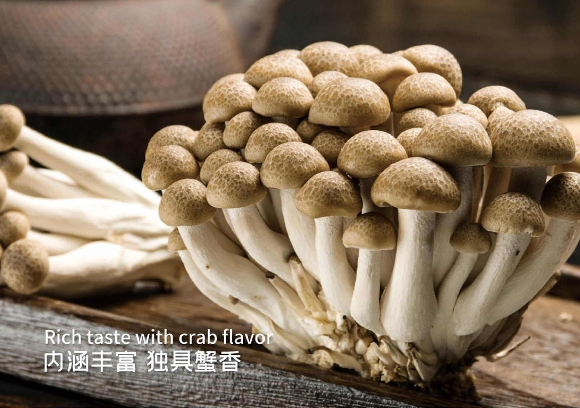 Brawn Shimej Mushroom